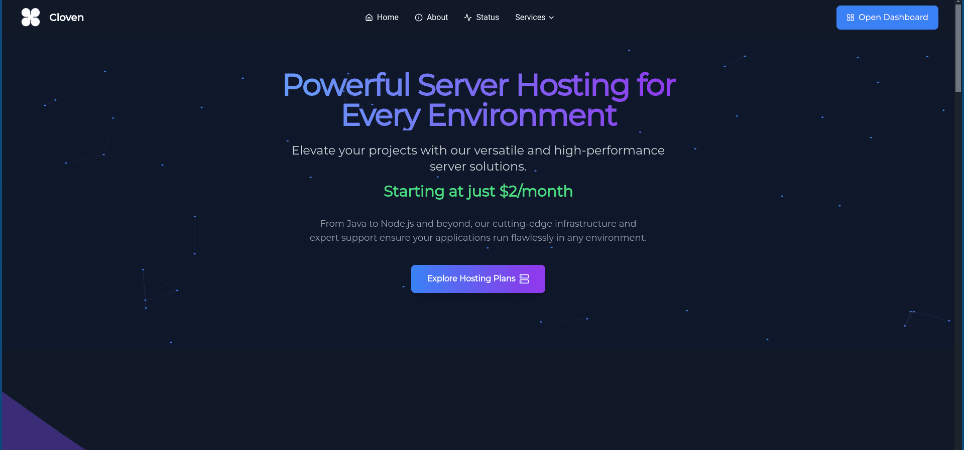 Server Hosting Service